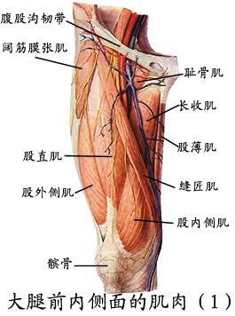 图片11.png