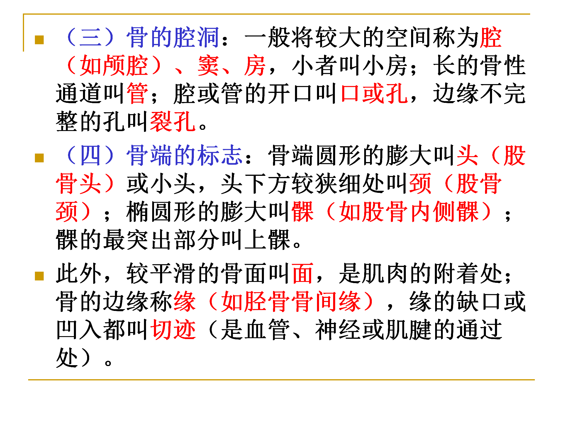 《人体解剖学》--躯干骨解剖_14.png