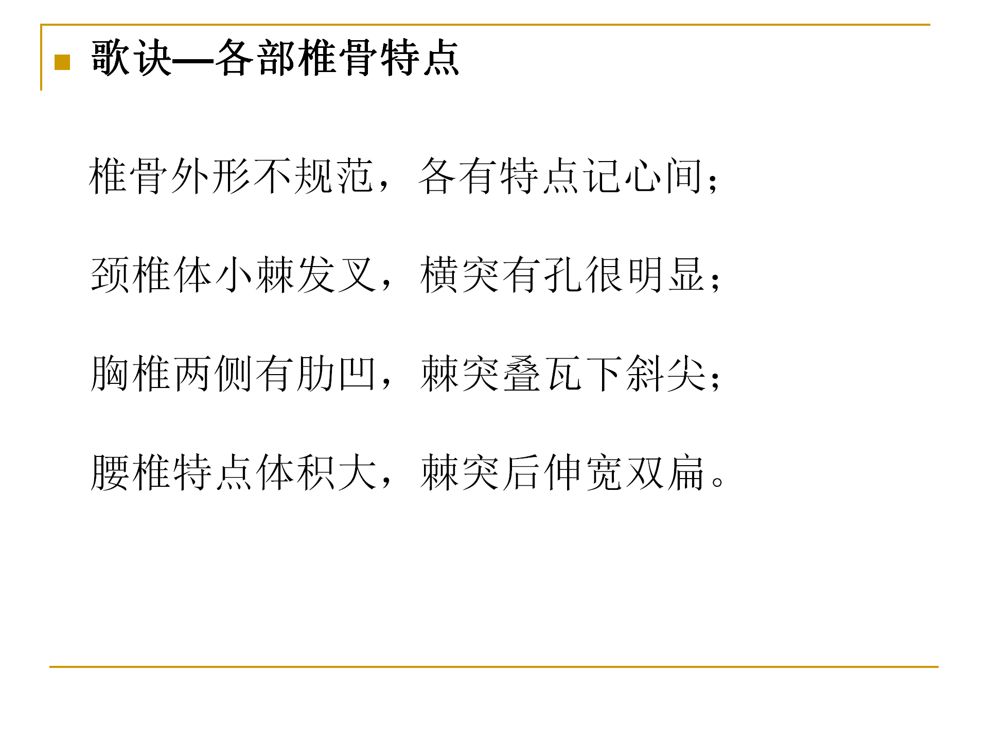 《人体解剖学》--躯干骨解剖_23.png