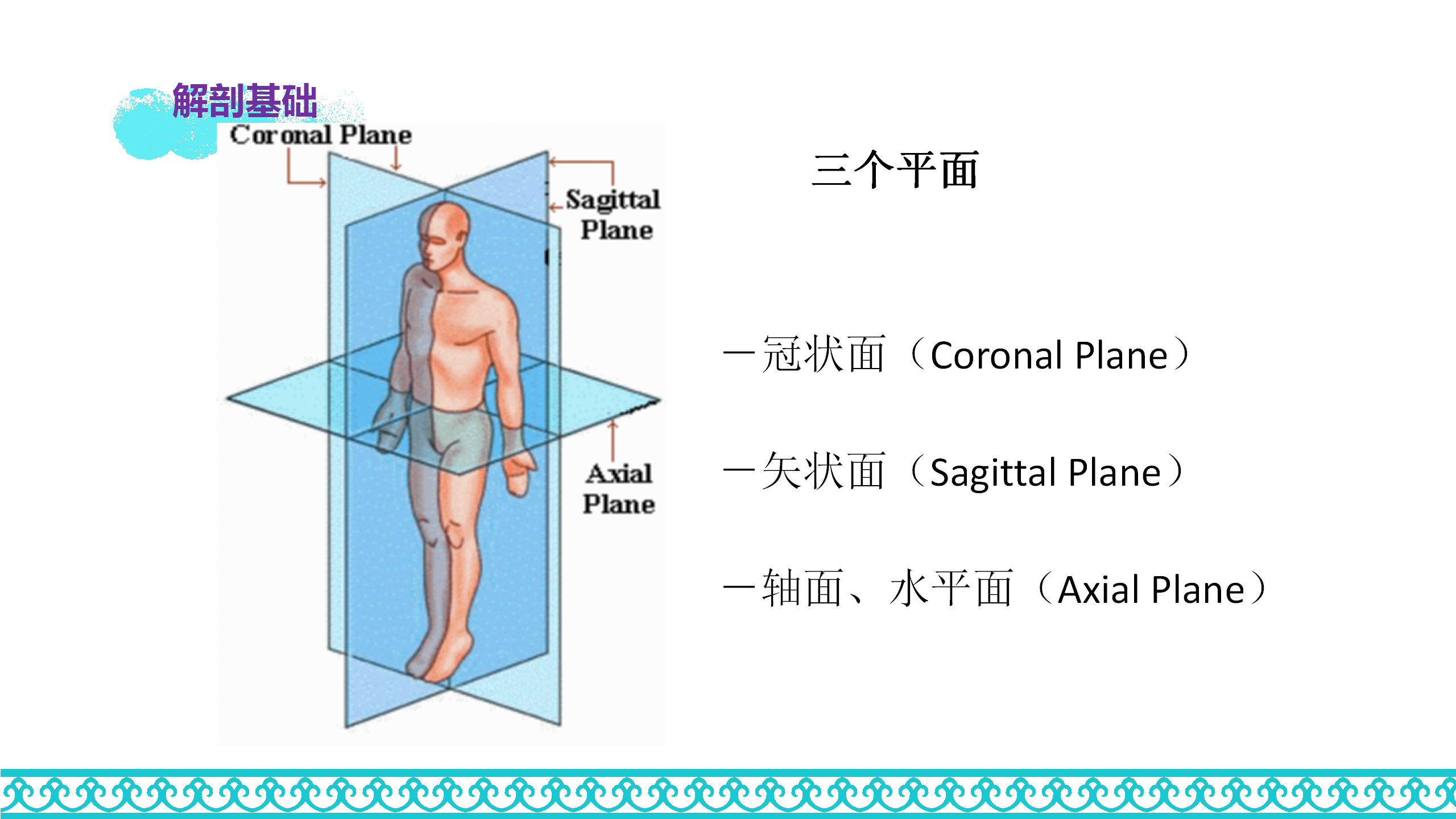 颈部解剖_06.png