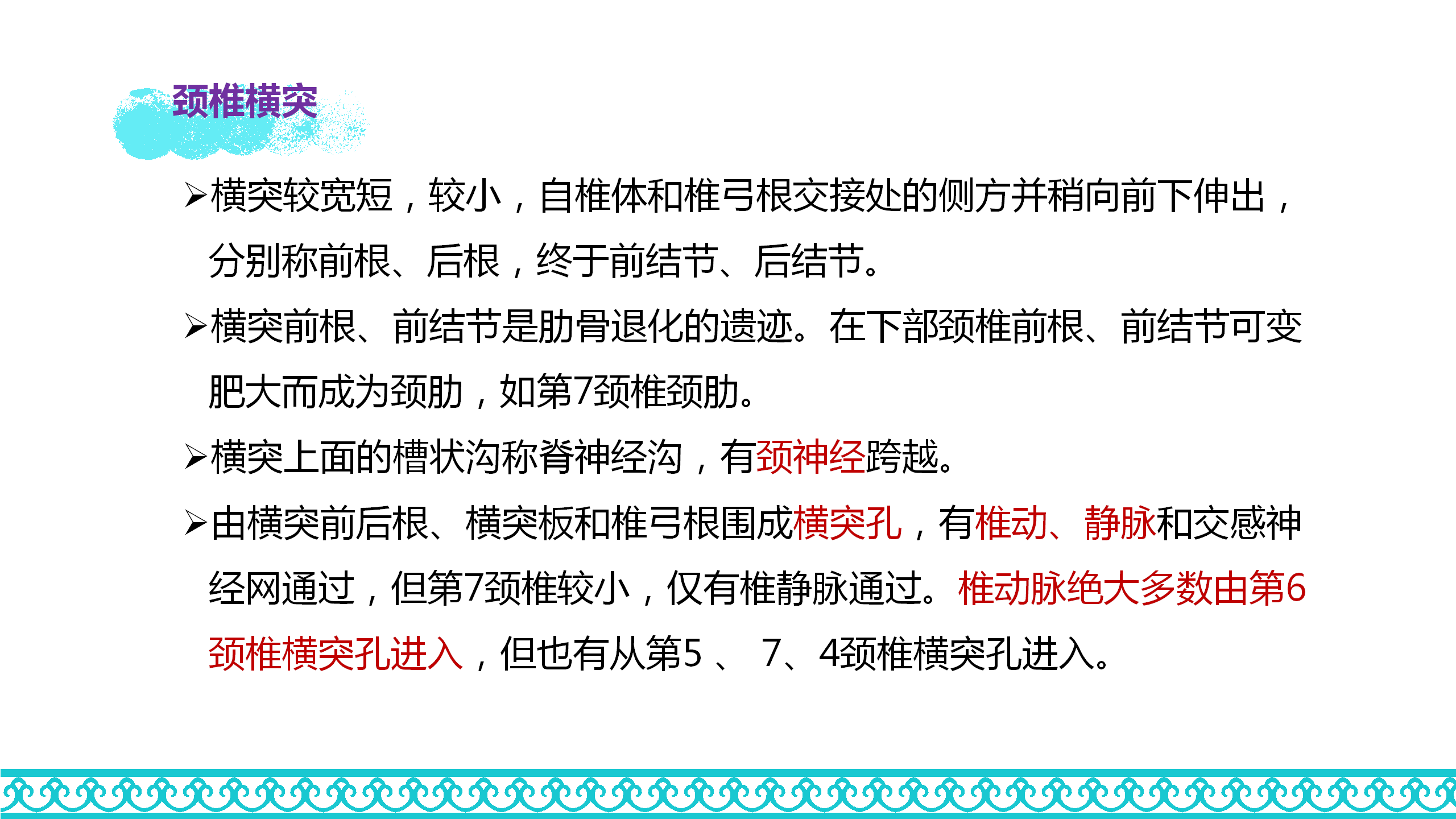 颈部解剖_18.png