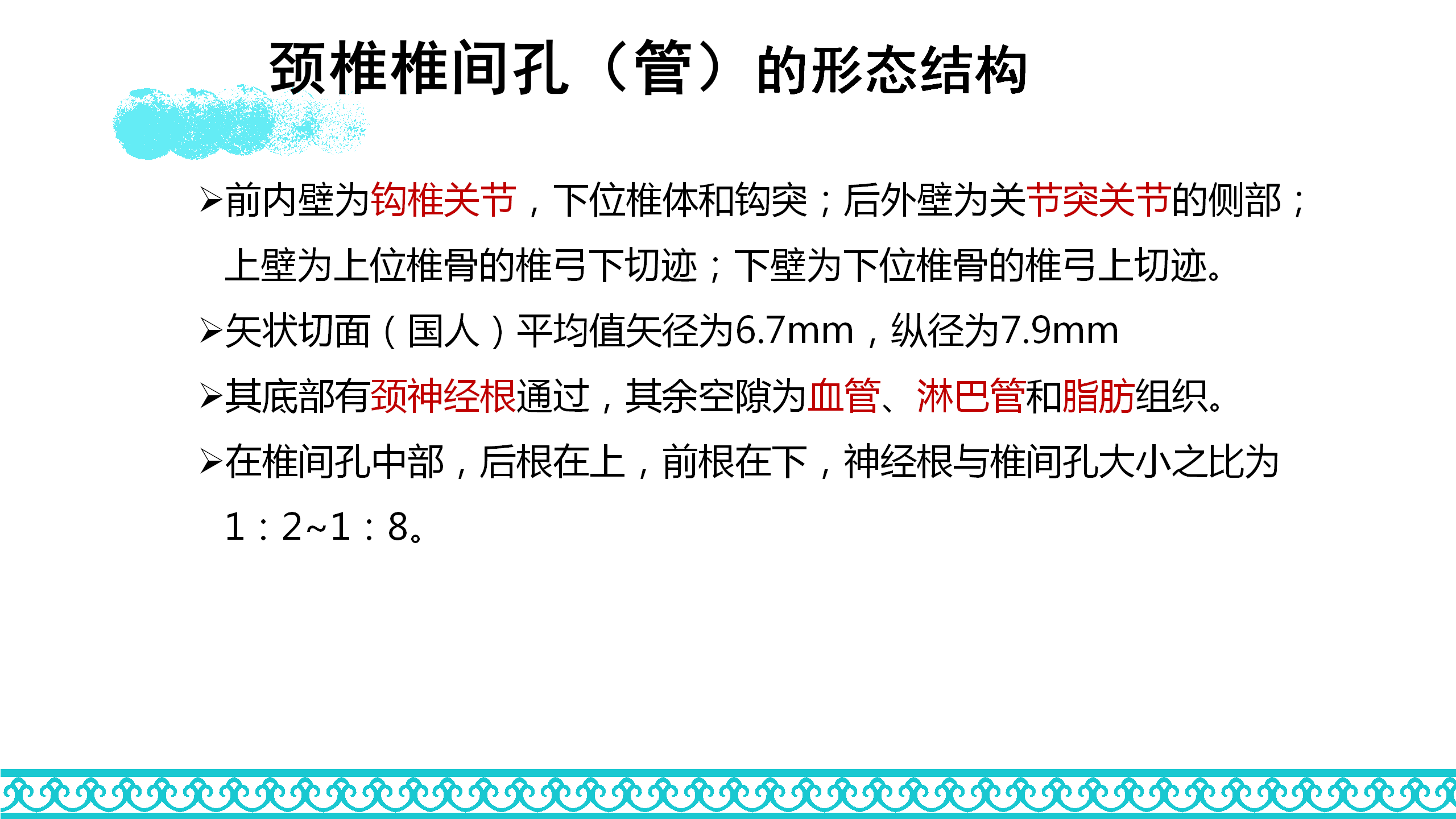 颈部解剖_24.png