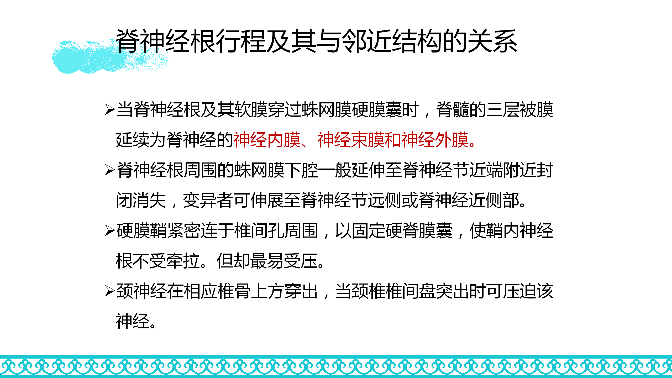 颈部解剖_37.png