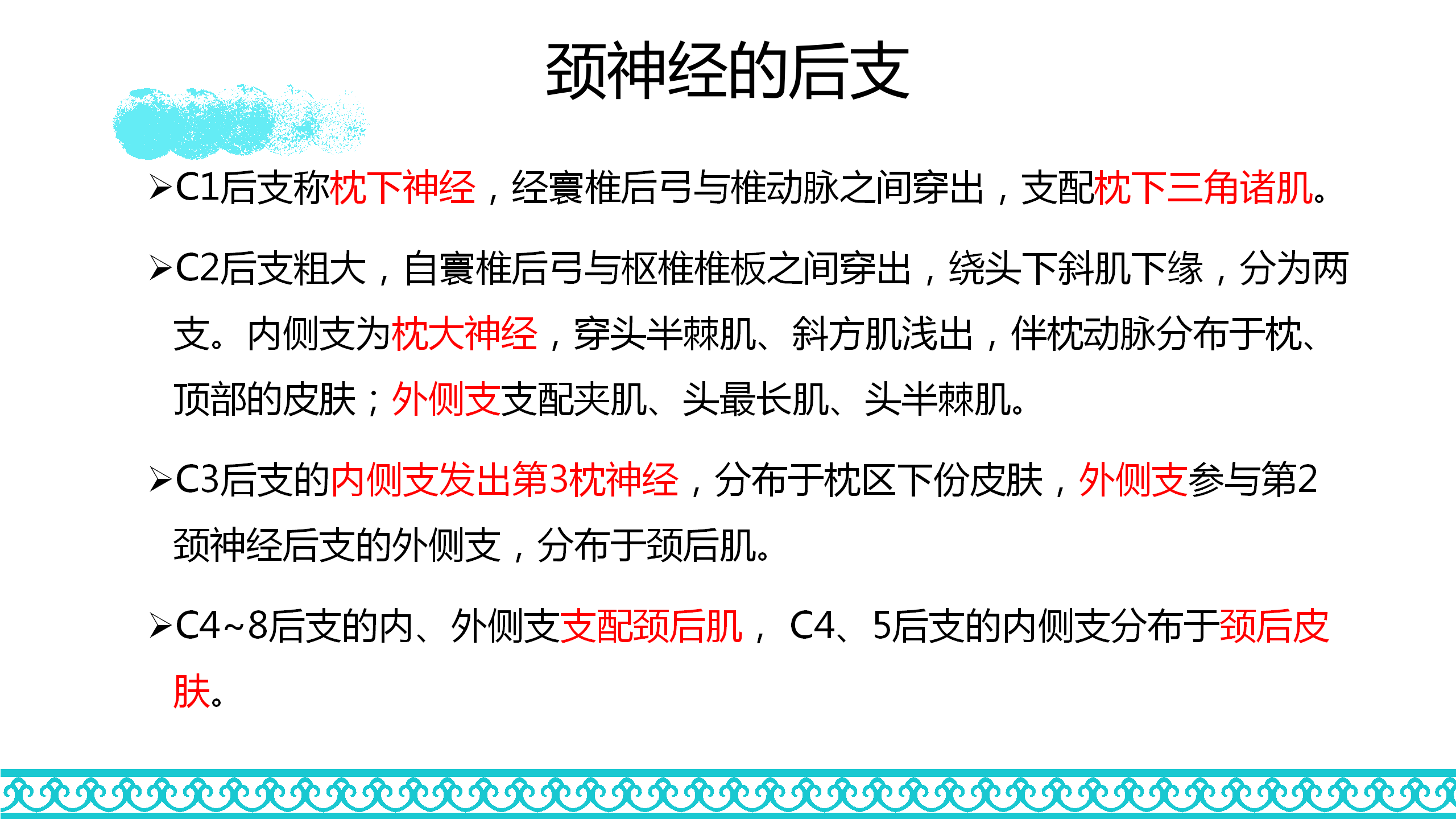 颈部解剖_42.png