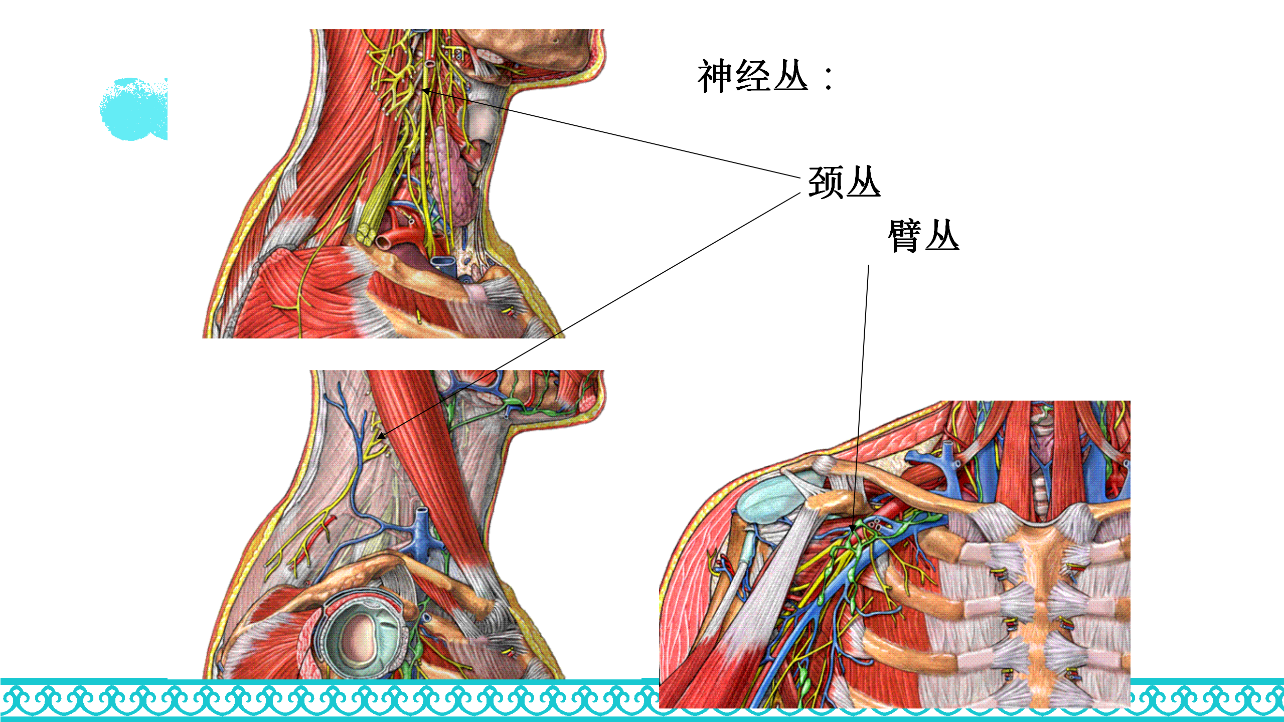 颈部病≠颈椎病