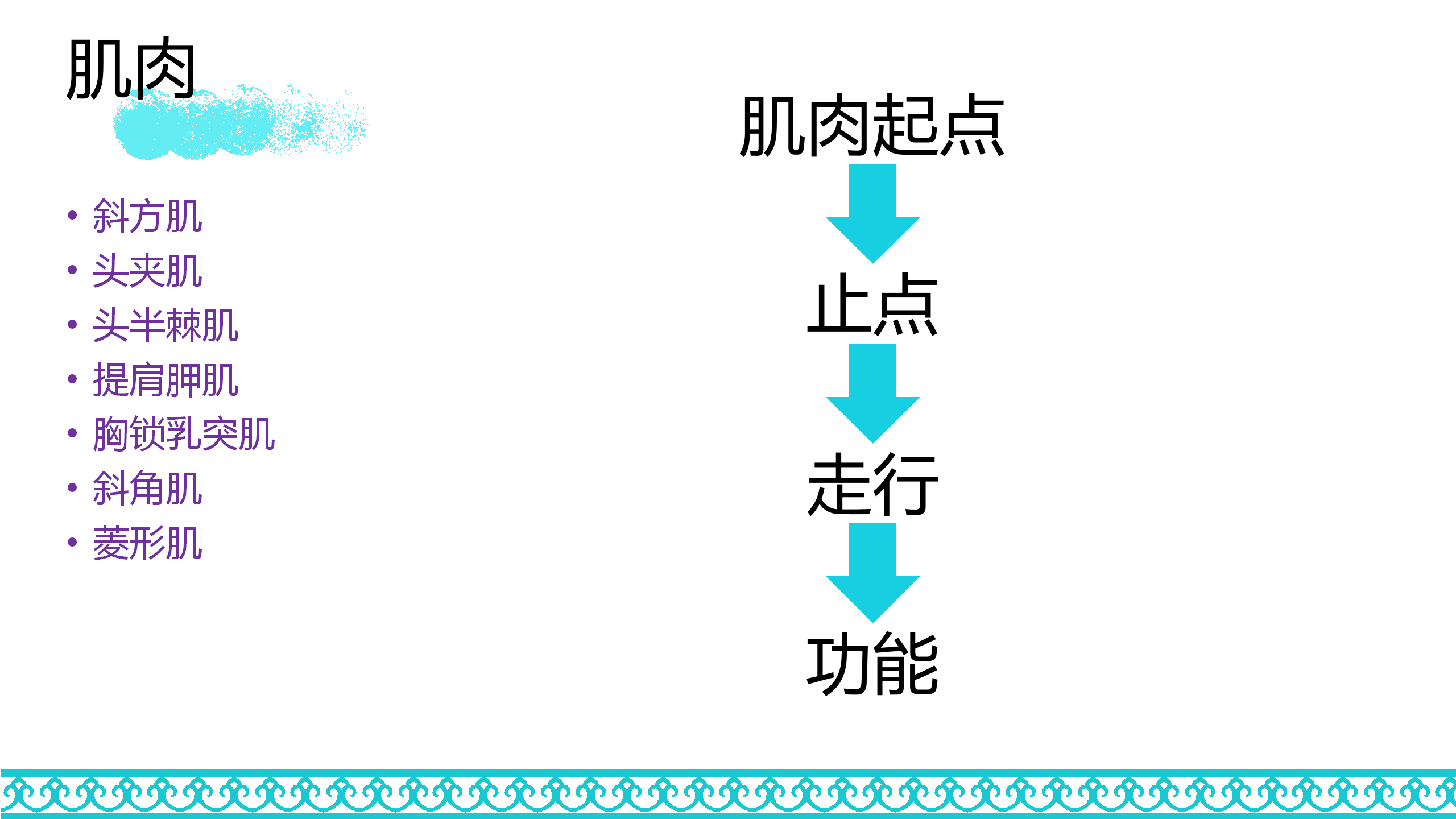 颈部解剖_50.png