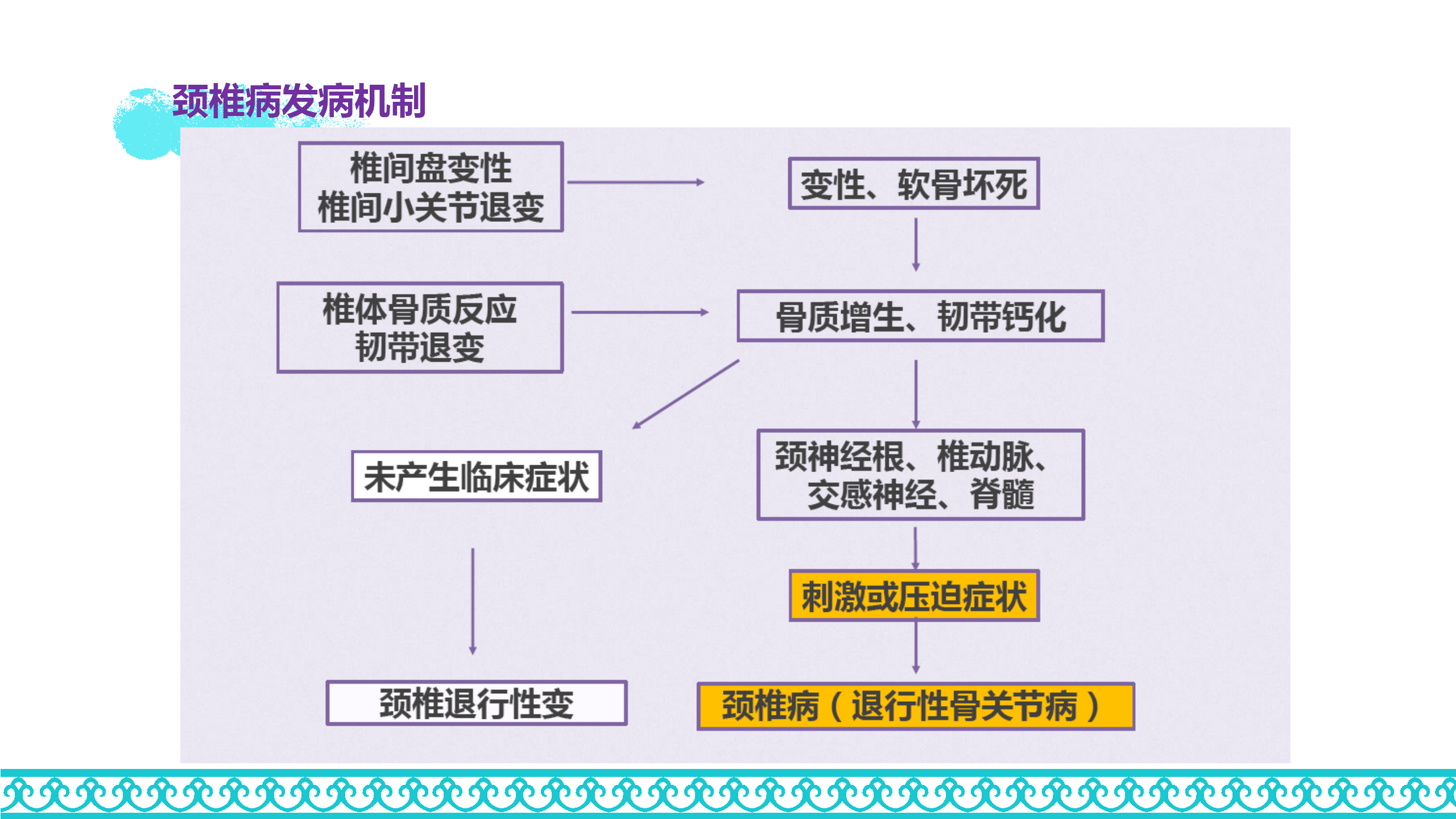 颈部解剖_60.png