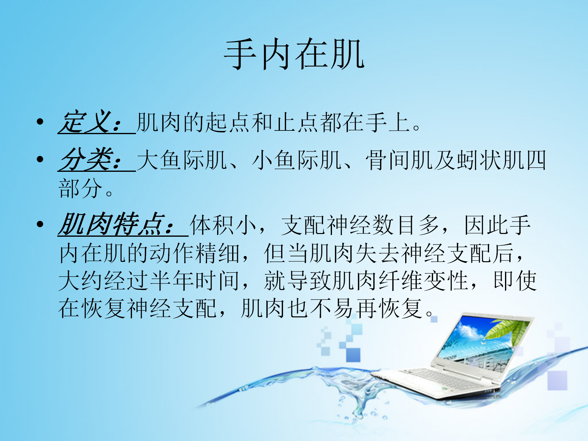 上肢肌肉解剖_25.png