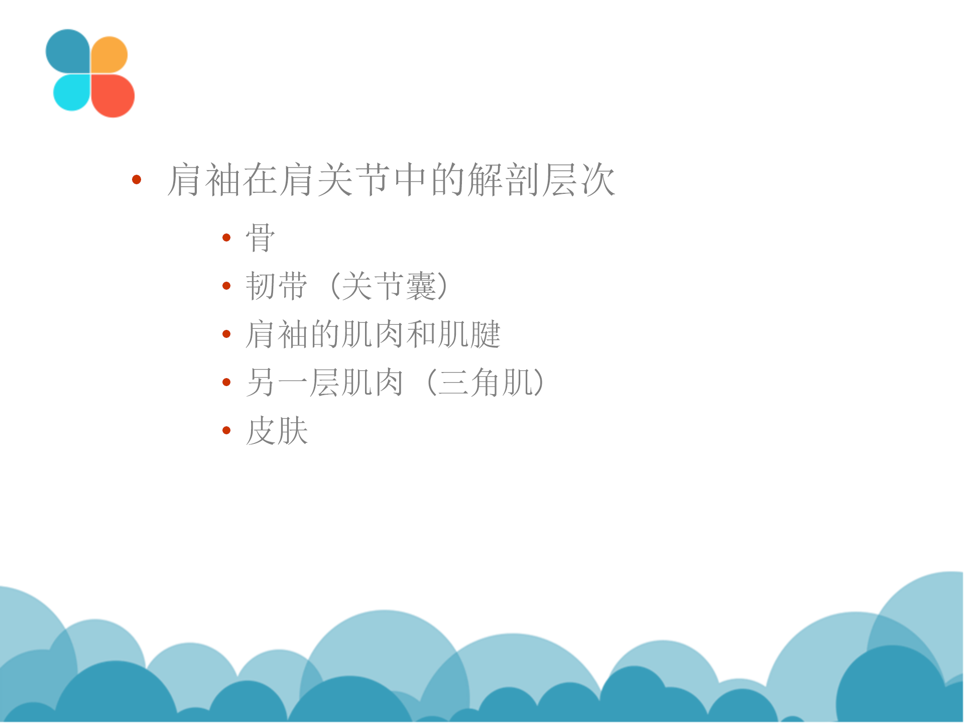 肩袖解剖LY_16.png