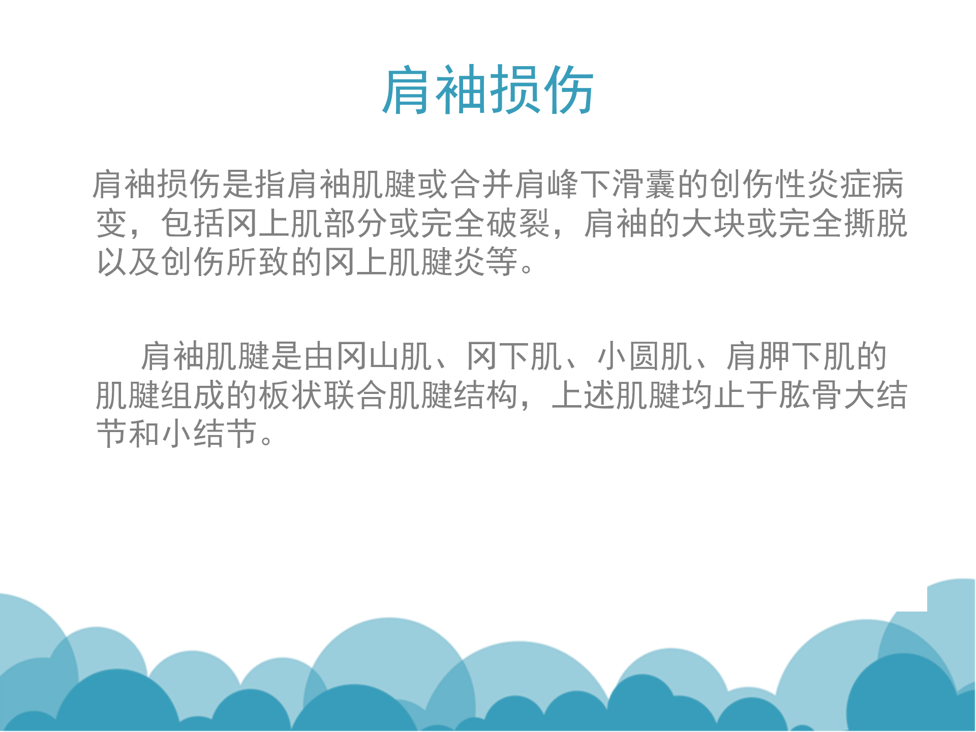 肩袖解剖LY_26.png