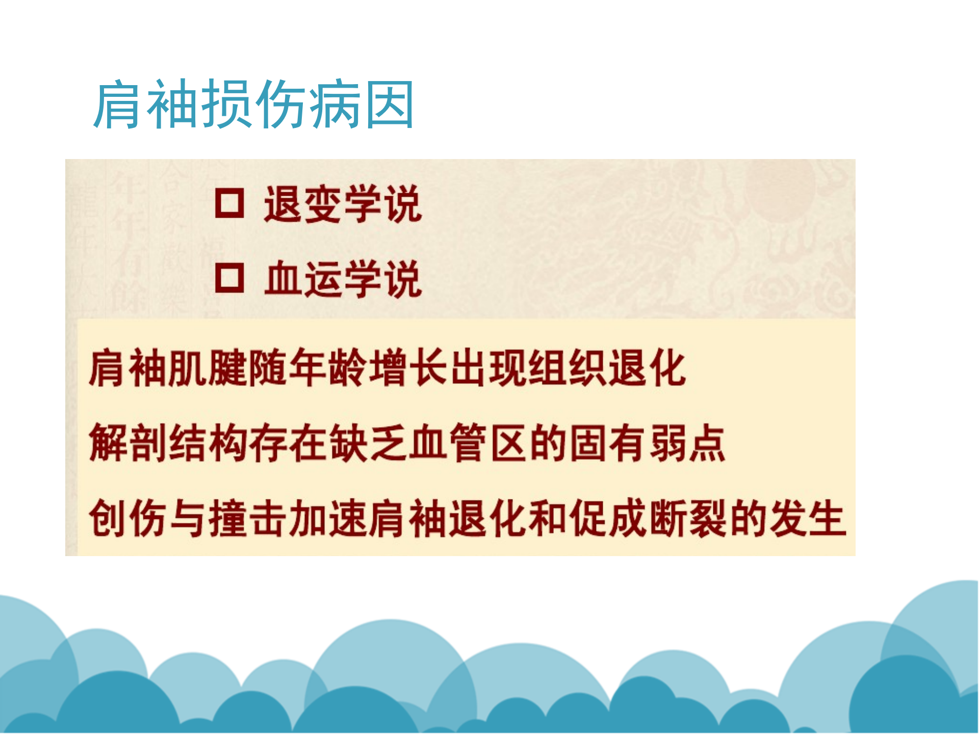肩袖解剖LY_27.png