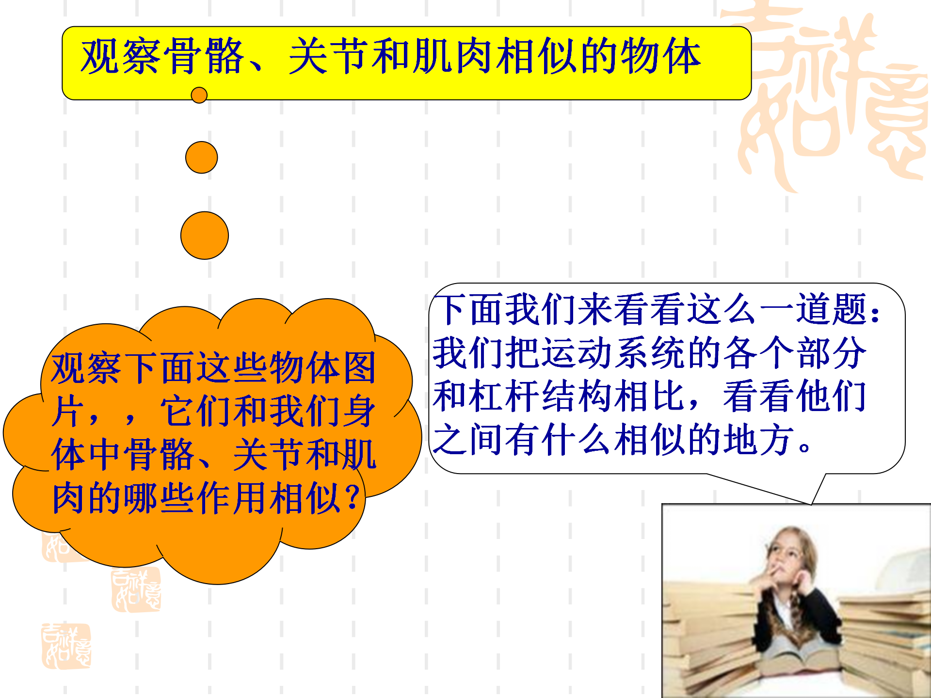 骨骼关节肌肉_24.png