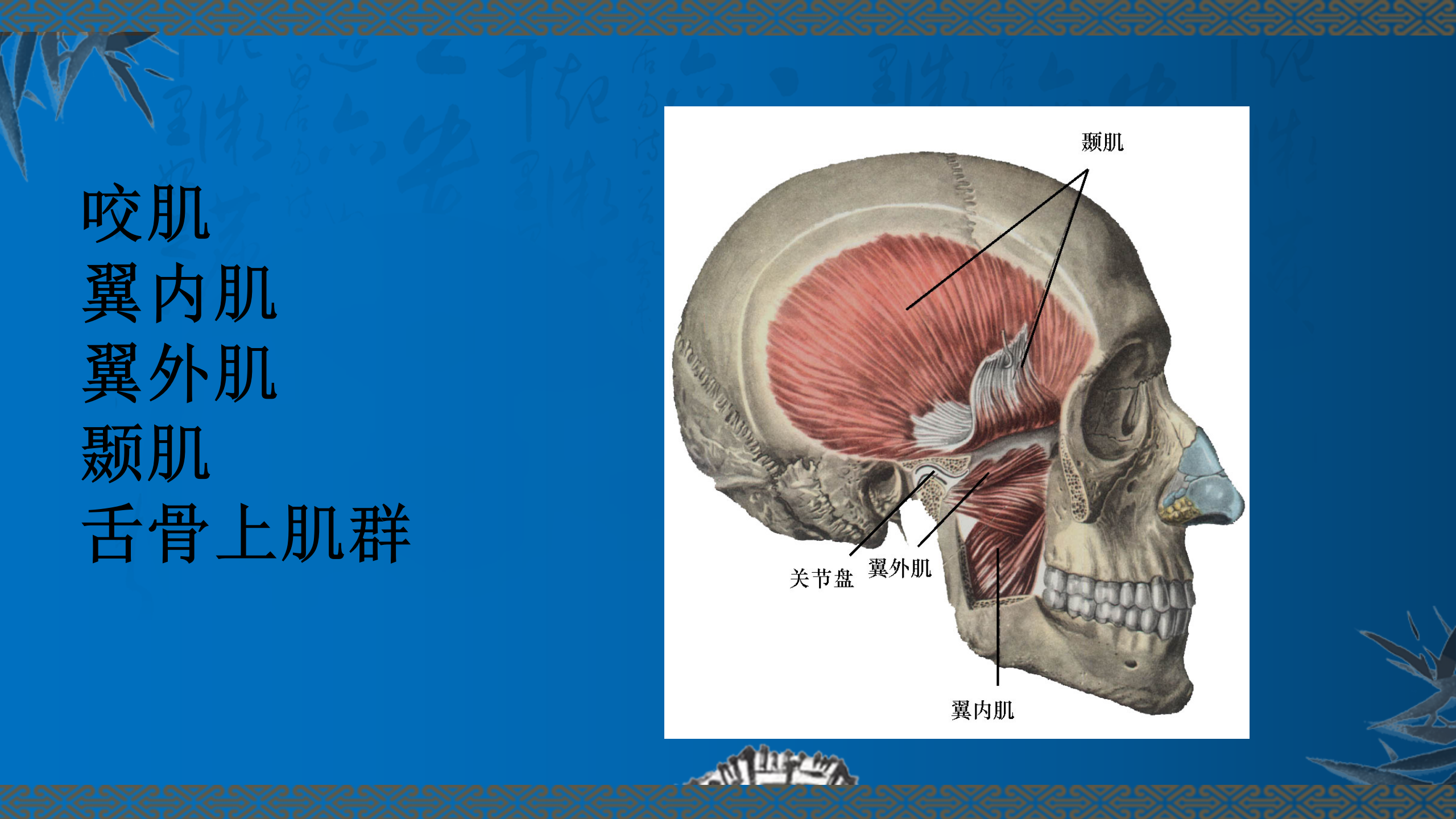 颞下颌关节疾病的浮针治疗_05.png