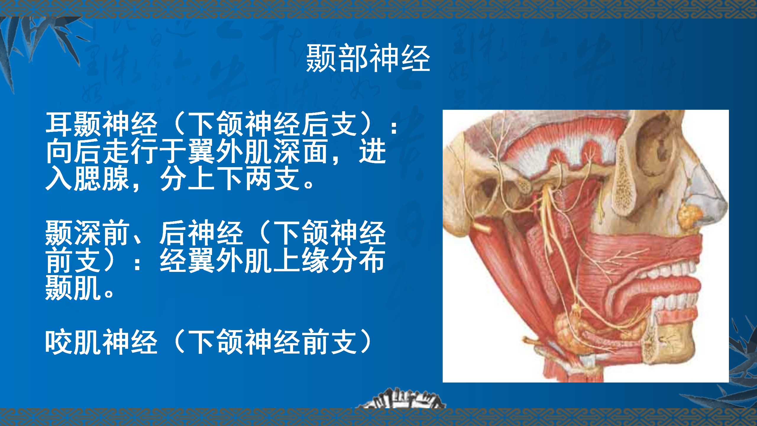 颞下颌关节疾病的浮针治疗_06.png